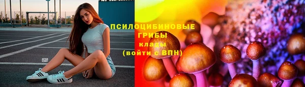 мяу мяу мука Новодвинск
