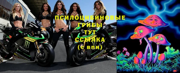 мяу мяу мука Новодвинск
