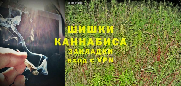 дживик Новокубанск
