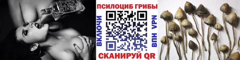 Галлюциногенные грибы прущие грибы  Ильский 